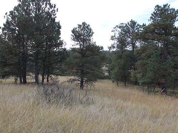 3rd image of 17365 Lodgepole Road