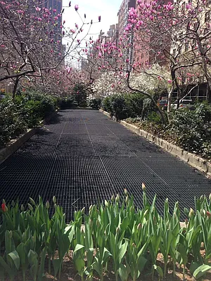 Rented by Nest Seekers International | media 11