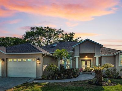 3047 Lake Padgett Dr, Land O Lakes, FL, 34639