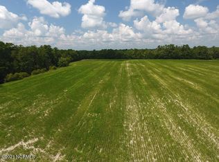 0 Coventry Rd, Nichols, SC 29581