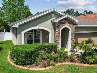 11862 Frost Aster Dr, Riverview, FL, 33579