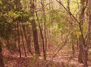 LOT 8 Gap Bridge Rd, Moneta, VA 24121