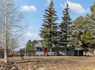 410 N Baldwin St, Woodland Park, CO 80863