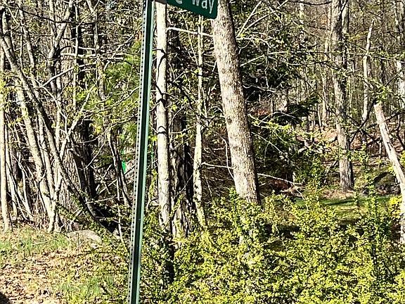 4th image of Chickadee Way