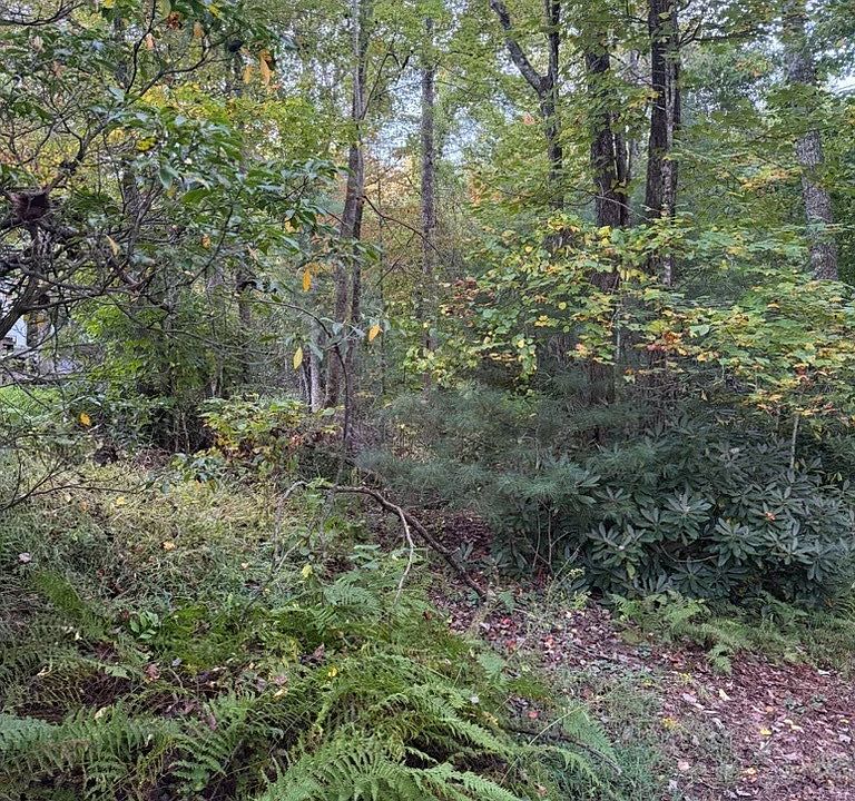 1st image of TBD Mountain Lake Road