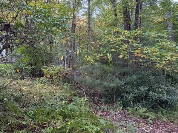 TBD Mountain Lake Road, Ennice, NC 28623
