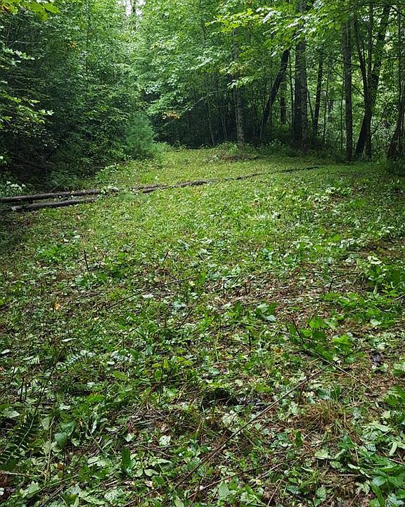 1st image of 00 Fenley Forest Trail