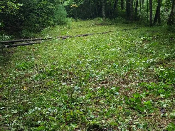 00 Fenley Forest Trail, Cullowhee, NC 28723
