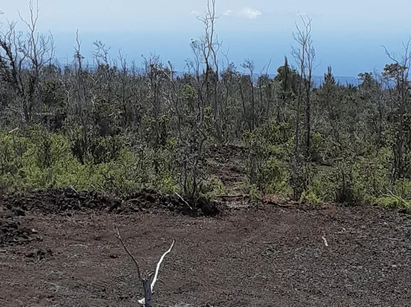 92-9198 Tiki Ln, Ocean View, HI 96737