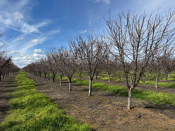 4th image of 6722 Bryden Rd