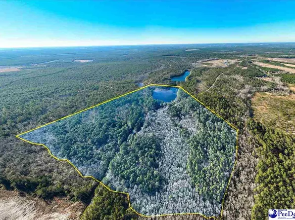 McBride Rd, Patrick, SC 29584