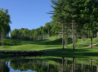 206 Raptor Run, Bellaire, MI 49615