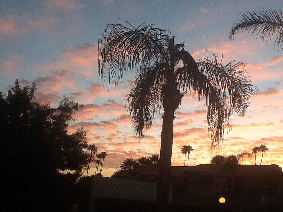 Sunrise from Kitchen Window