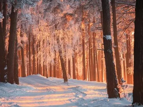 9180 28th St SE, Ada, MI 49301