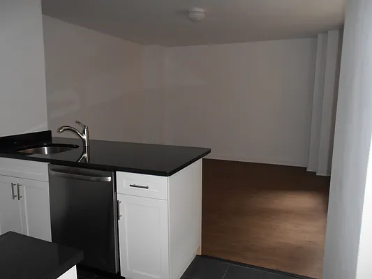 Rented by Carlyle Property Management | media 17