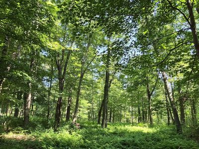 125 Topsfield Rd, Ipswich, MA, 01938