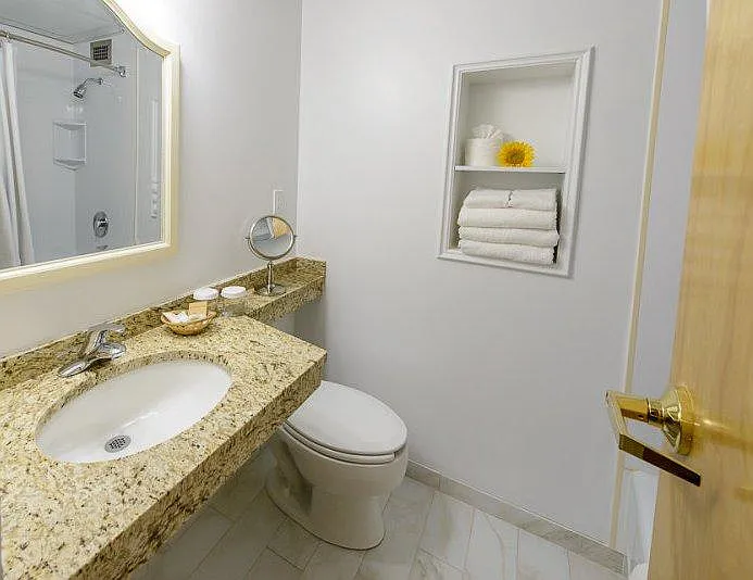 1 bed, 210 sqft, $3,000 — Photo 3