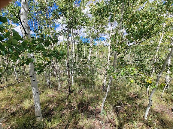 4th image of 3130 High Creek Road