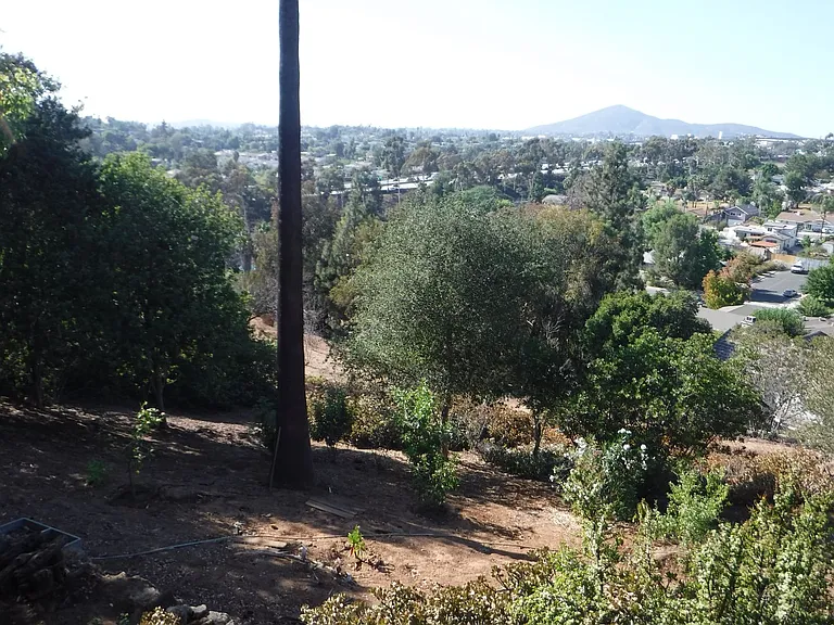 9120 San Juan Pl — Photo 25