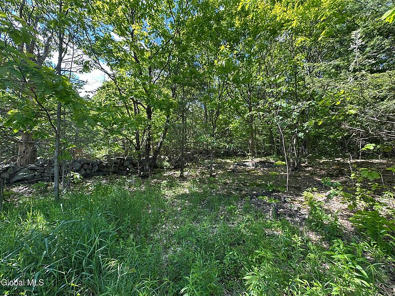 5th image of 420 Tillboro Road