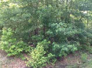 355 Macedonia Rd, Orangeburg, SC 29115