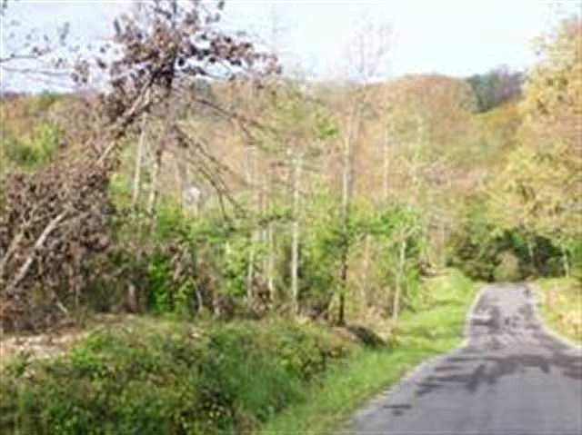 2nd image of 0 Brickell Ridge Rd Lot 37-38