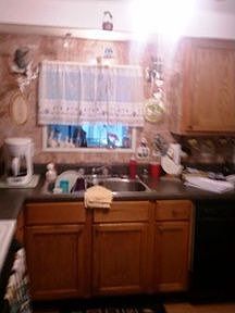 3rd image of 5 Royal Palm Cir