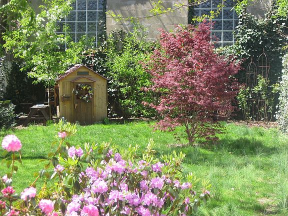 Spring time in the Backyard!
