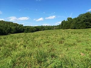 4th image of Nc 4010 & Hwy #65