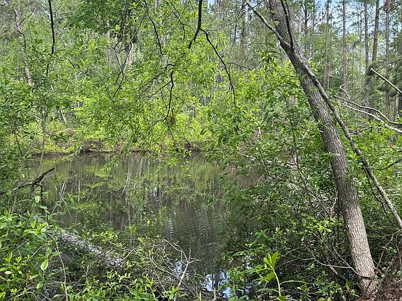 5th image of 0 Walter Phillips Rd