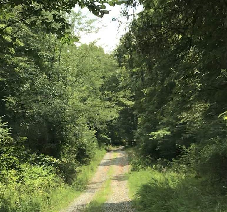 2nd image of 2590 Blythe Ferry Ln