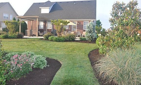 Professionally landscaped backyard