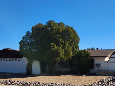 1615 E Fremont Dr, Tempe, AZ, 85282