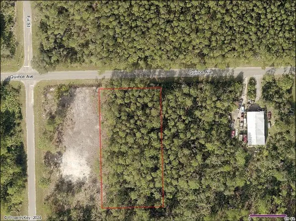 Quince Avenue Lot #2, Eustis, FL 32736