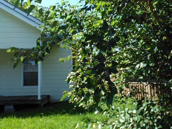 2nd image of 608 Bolster St