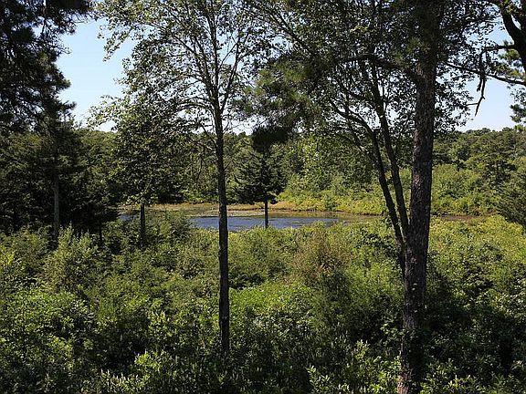 Back Yard View