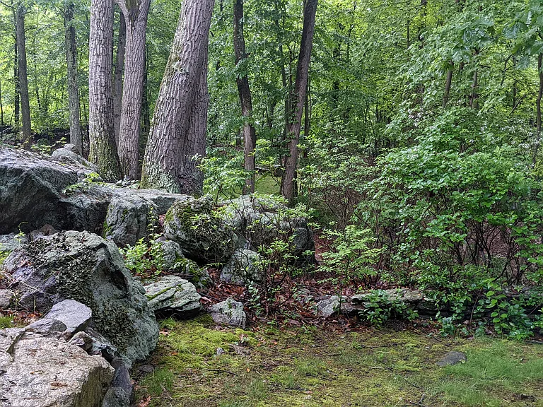 Mountain Laurel Ln — Photo 14