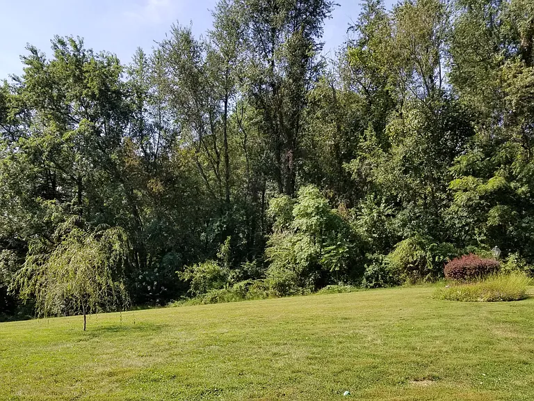 Brink Ct — Photo 16