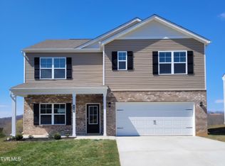 909 Ohara Ct, Blountville, TN 37617