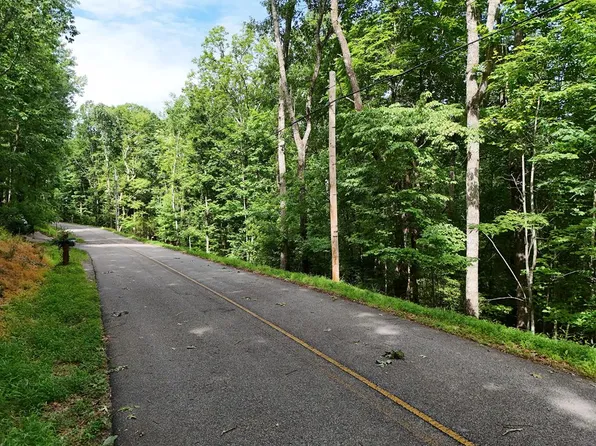 131 Laurel Xing, Blue Ridge, GA 30513