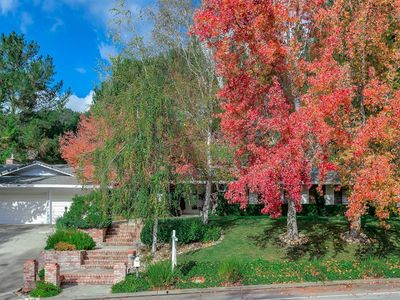 500 Dalewood Dr, Orinda, CA, 94563
