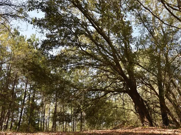 S Us Highway 301 #2-3, Hawthorne, FL 32640