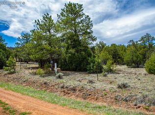 200 Cottonwood Dr, Cotopaxi, CO