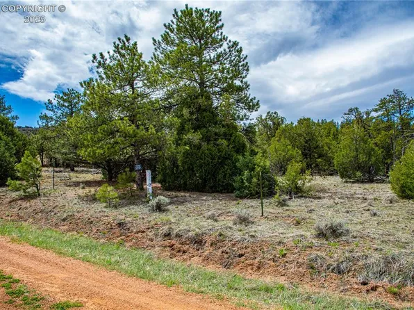 200 Cottonwood Dr, Cotopaxi, CO 81223