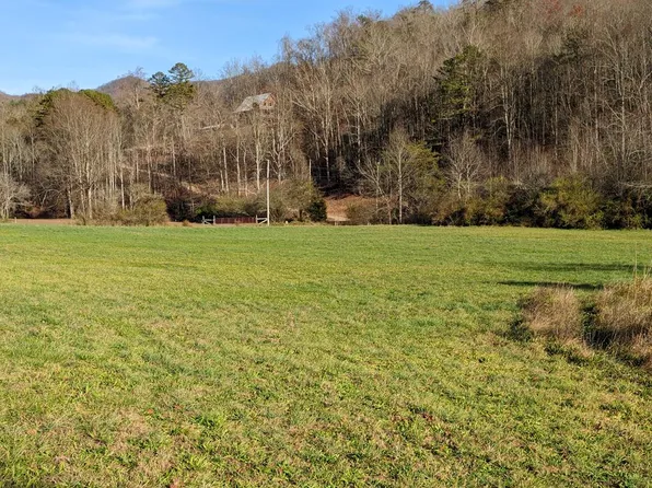 TRACT 1A Thumping Creek Rd, Hayesville, NC 28904