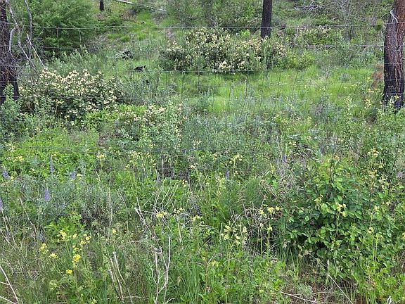 4th image of 0 xxx Golden Creek Loop Road