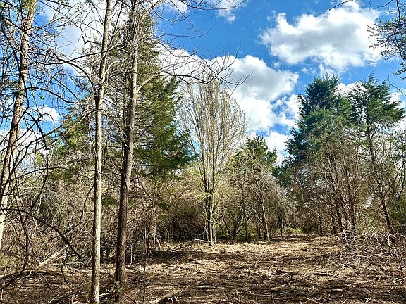 4th image of Lot 3 Mack Road