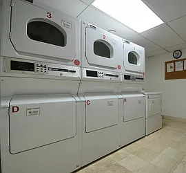 Rented by Bold New York