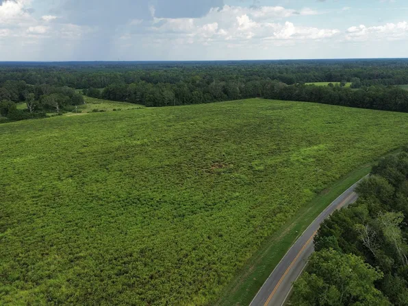 0 Old Macon Rd, Montrose, GA 31065