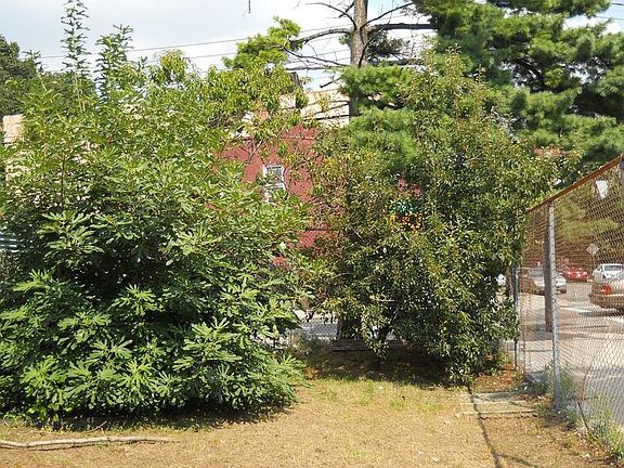 2nd image of 180 Jamaica Ave